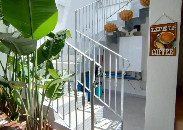 Holmann & Panzió Olbia